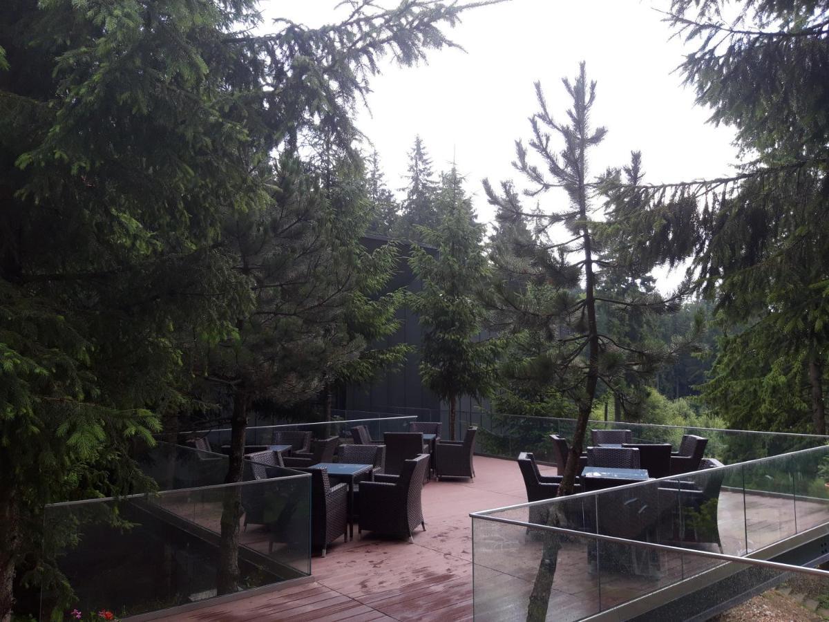 Hotel Complex Hotelier Cota O Mie Sinaia